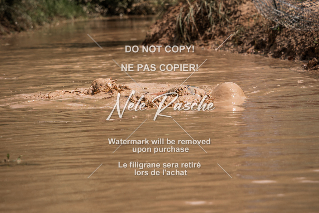 nelerasche_Hoope2026_So1400-1430_104 | nelerasche