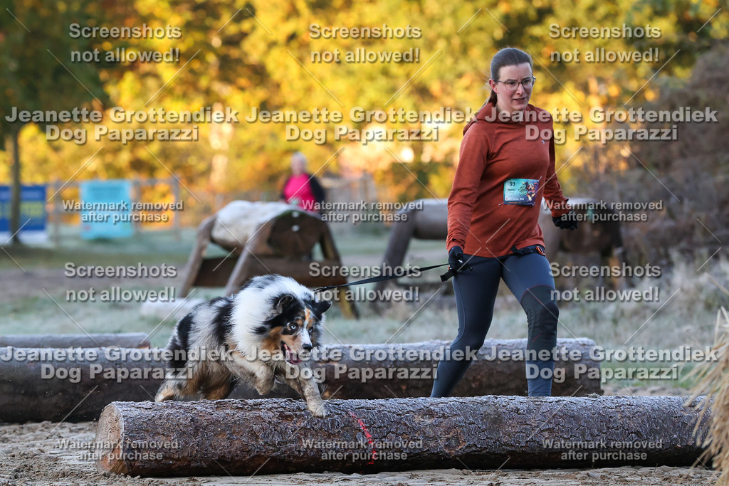 Dog Paparazzi - Strongdog 10-25-260 | Dog Paparazzi Jeanette Grottendiek Fotografie & Videografie - Realisiert mit Pictrs.com