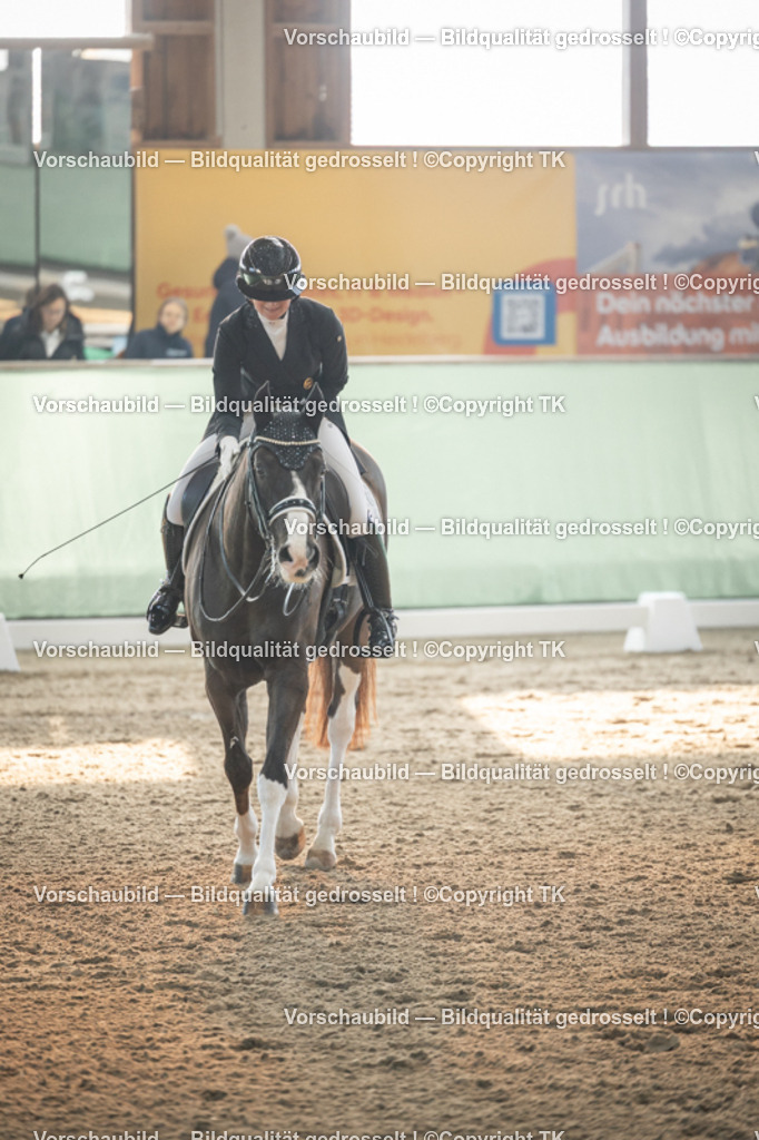 _D5A7890 | Emotionale Pferde- & People-Fotografie rund um Heidelberg, Leimen & Umgebung. Natürliche Fotos von Pferd, Mensch & Familie. Jetzt Termin sichern!