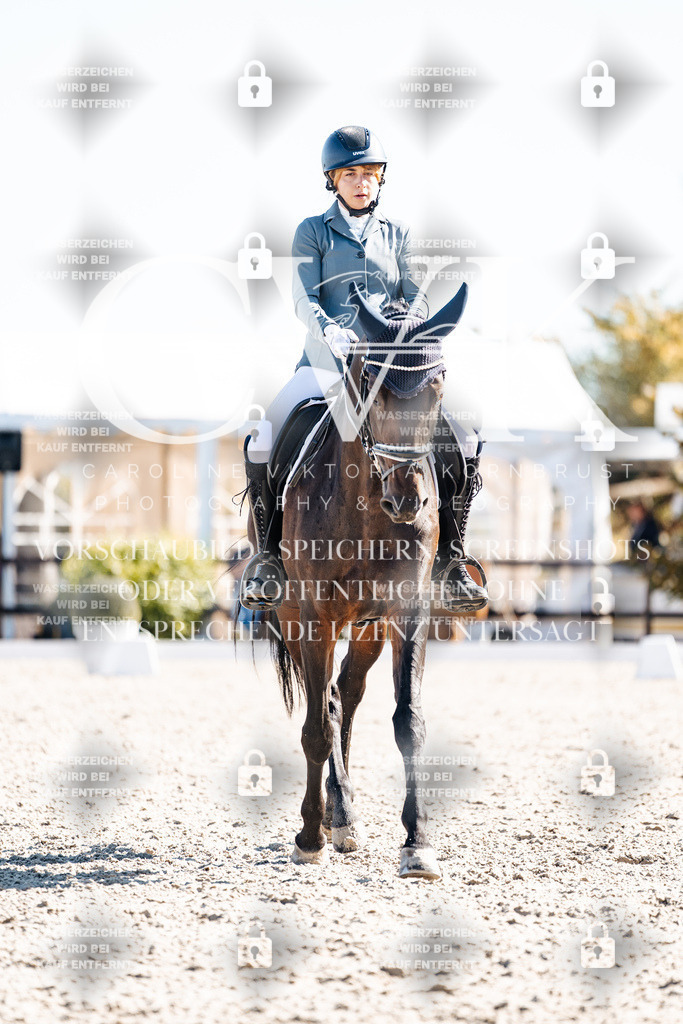 CK908836 | Turnierfotografie Pferdefotografie Trier Rheinland-Pfalz Pferdesport Reitsport Tierfotografie Sportfotografie Pferdevideo Pferdevideografie Equestrianvideography equestrianphotography  - Realisiert mit Pictrs.com