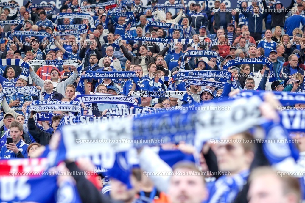 S0413092501083 | 13.09.2025, Fußball, FC Schalke 04 - Holstein Kiel, 5.Spieltag, 2. Fußball Bundesliga, Veltins-Arena Gelsenkirchen, Saison 2025 2026: Fans auf der Tribüne Fanschal Schriftzug Schalparade SchalDFB regulations prohibit any use of photographs as image sequences and or quasi-video.