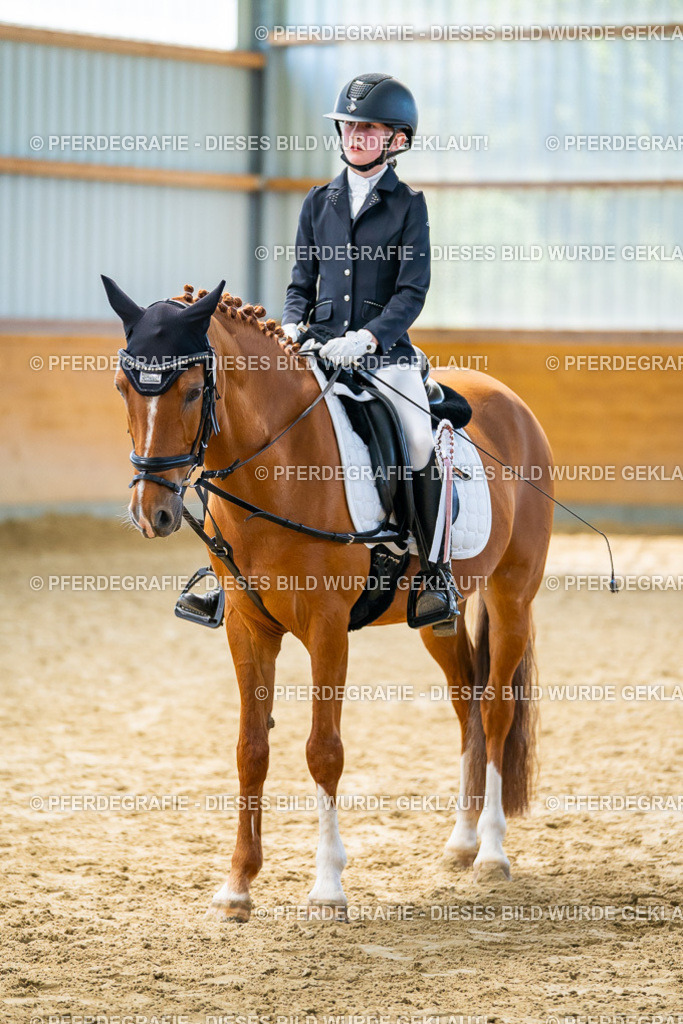 DSC01485 | Pferdegrafie