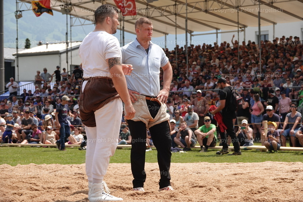 DSC04592 | Schwingen - Realisiert mit Pictrs.com