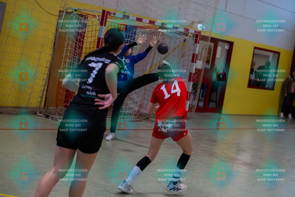 _HP_2138_3000o | JSG Welling-Bassenheim gegen HSG Dudenhofen-Schifferstadt 09.03.2024