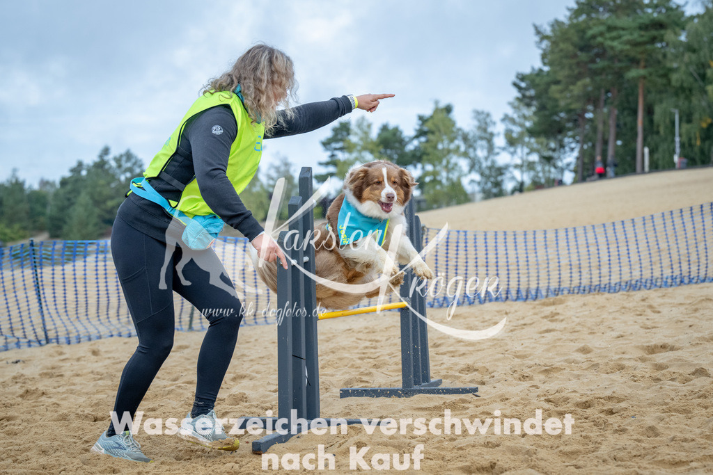 0916_ZZ92088 | kk-dogfotos