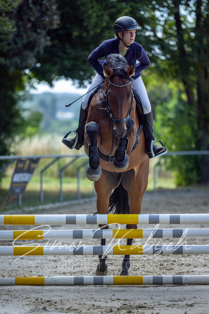 20260704-_3LI7055 | Tierfotografie Pferde, Hunde, Katzen, Haustiere.
Turnierfotografie Reitturniere, Reiten, Springreiten, Dressur in Hanau, dem Main-Kinzig-Kreis und dem Rhein-Main- Gebiet um Frankfurt
