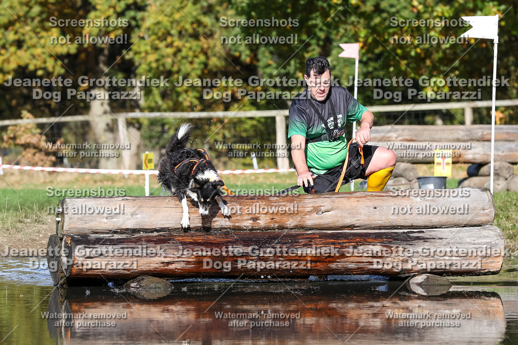 Dog Paparazzi - Strongdog 10-25-8979 | Dog Paparazzi Jeanette Grottendiek Fotografie & Videografie - Realisiert mit Pictrs.com