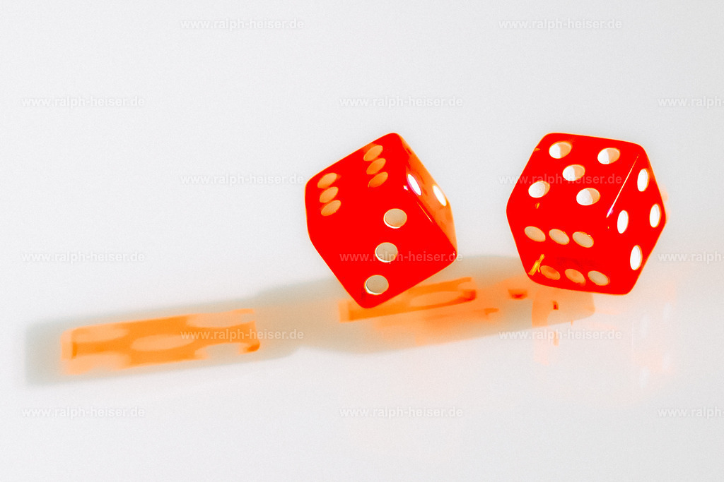 _MG_9795 | Wandbilder, Bilder, Fotograf in Marburg, Tierbilder, Wandfotos, Bilder Shop, Günstige Bilder, Schwarz-Weiß Bilder, Ralph Heiser