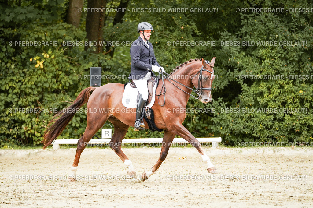 DSC03684 | Pferdegrafie