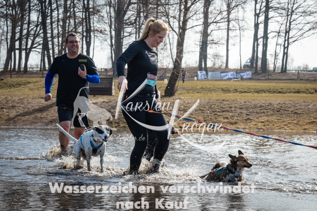 1133_ZZ95431 | kk-dogfotos