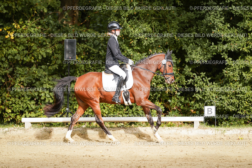 DSC09650 | Pferdegrafie