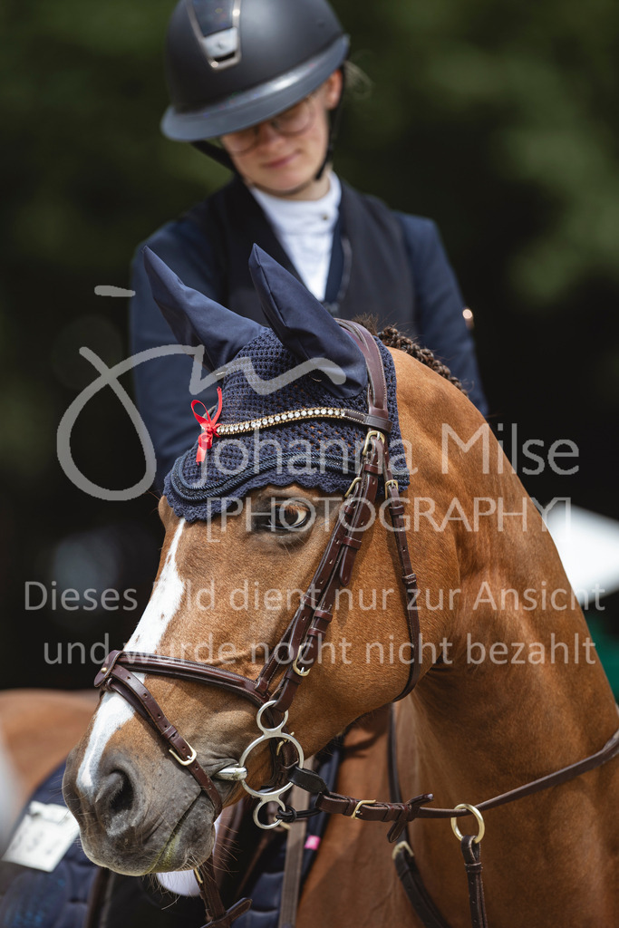 240616_Lemwerder_M1-Springen-457 | Deine schönsten Turniermomente als professionelle Fotos! Entdecke hochwertige Pferdesport-Fotografie im Online-Shop. Jetzt Fotos finden & bestellen!