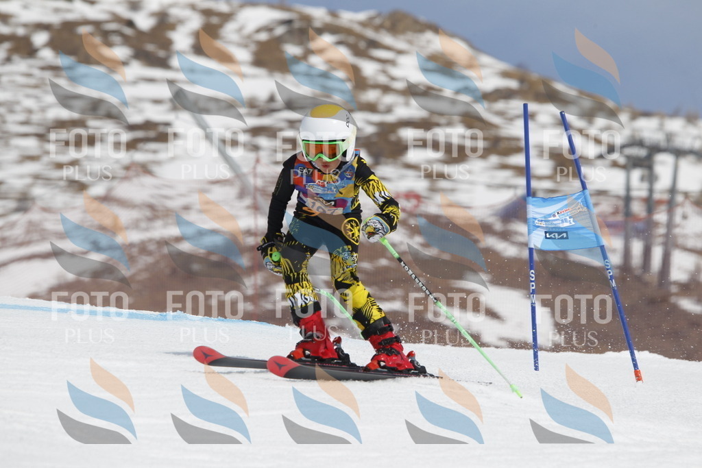 _U3G2882 | holidayphoto