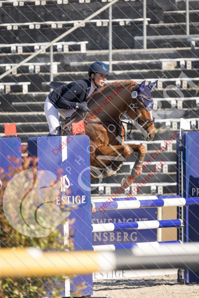 IMG_3178 | Sport-, Event- und Tierfotos in Profiqualität. Einfach auswählen, bestellen und herunterladen. Dein Moment – perfekt festgehalten.