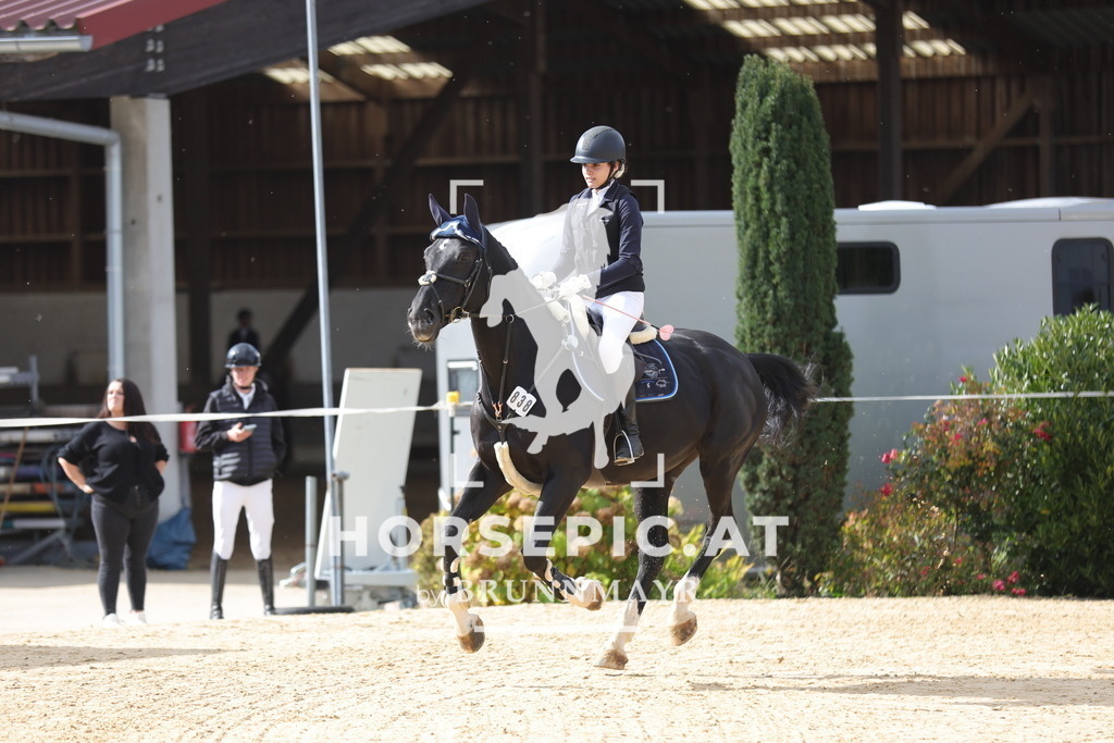 0P6A8573 | Willkommen bei Brunnmayr - Design & Fotografie – Ihrem Spezialisten für Reitturniere und Pferdeveranstaltungen in Oberösterreich, Salzburg und Bayern! Seit über 17 Jahren sind wir leidenschaftlich dabei.