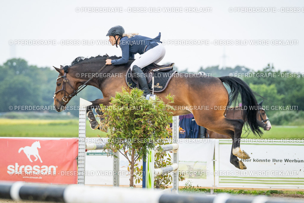 DSC01914 | Pferdegrafie