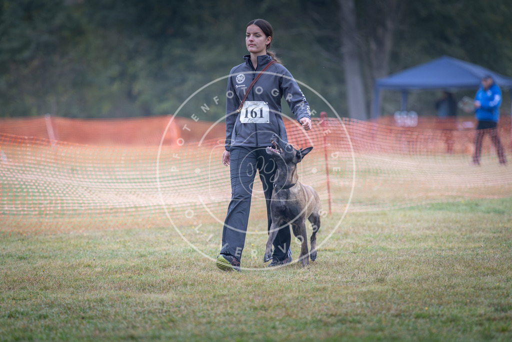 Pfotenfotografie_DV3A8786 | Hundefotografie, Tierfotograf, Pfotenfotografie, Fotoshooting Hund, Hunde Portrait, Hundesport, Hundeportraits, Heideshooting, Hunde, Sportfotograf, Hundefotograf, Turnierhundsport, THS,  - Realisiert mit Pictrs.com