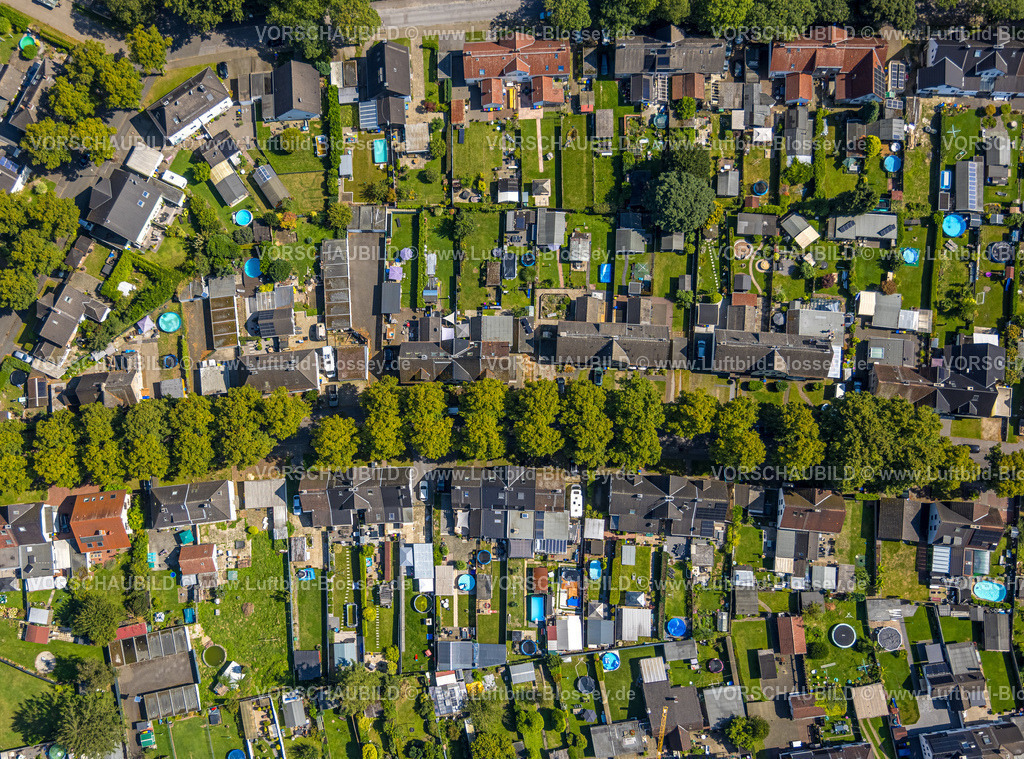 Gladbeck240806400 | Luftbild, Wohngebiet und Wohnsiedlung Krugstraße mit Baumallee Lindenbäumen, Gärten mit Swimmingpool, Zweckel, Gladbeck, Ruhrgebiet, Nordrhein-Westfalen, Deutschland