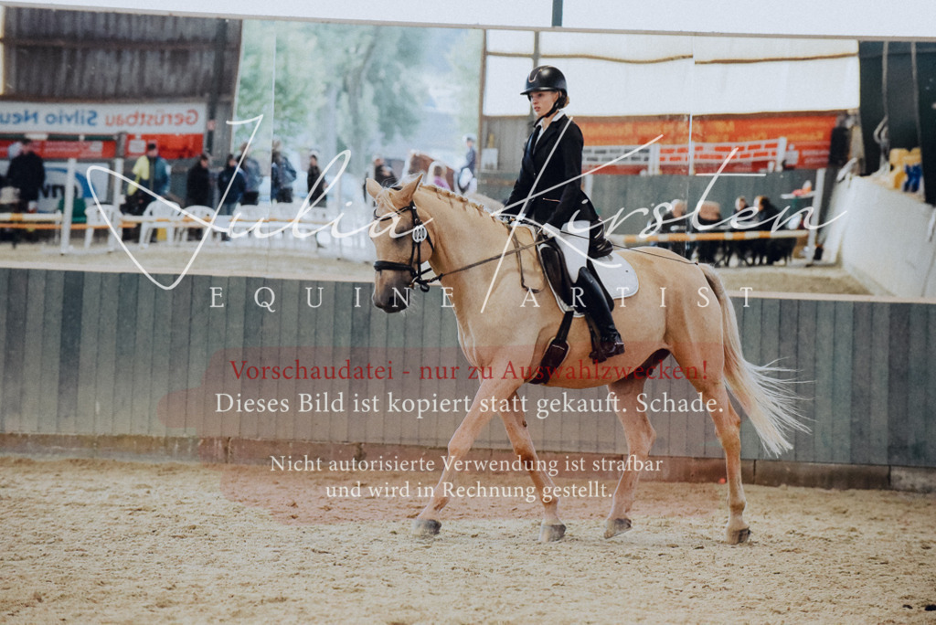 DSC_7661 | Pferde- und Turnierfotografie in Westsachsen. Pferdeportraits, Auftragszeichnungen und intuitive Kunst.