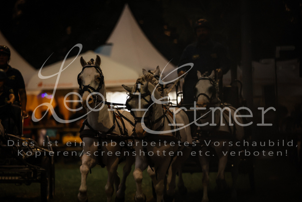 SaShow00303 | Leoni Ertmer Photography - Realisiert mit Pictrs.com