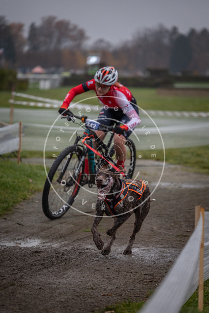 CaniXpix_0L8A1406 | Hundefotografie, Tierfotograf, Pfotenfotografie, Fotoshooting Hund, Hunde Portrait, Hundesport, Hundeportraits, Heideshooting, Hunde, Sportfotograf, Hundefotograf, Turnierhundsport, THS,  - Realisiert mit Pictrs.com