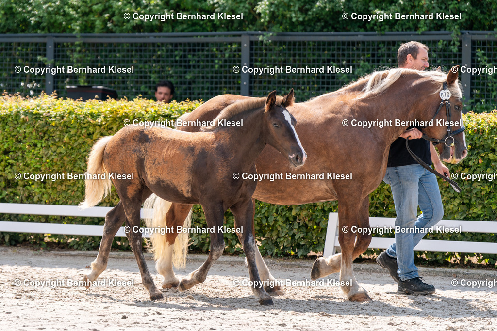 2A909950 | foto-team-bernhard - Realisiert mit Pictrs.com
