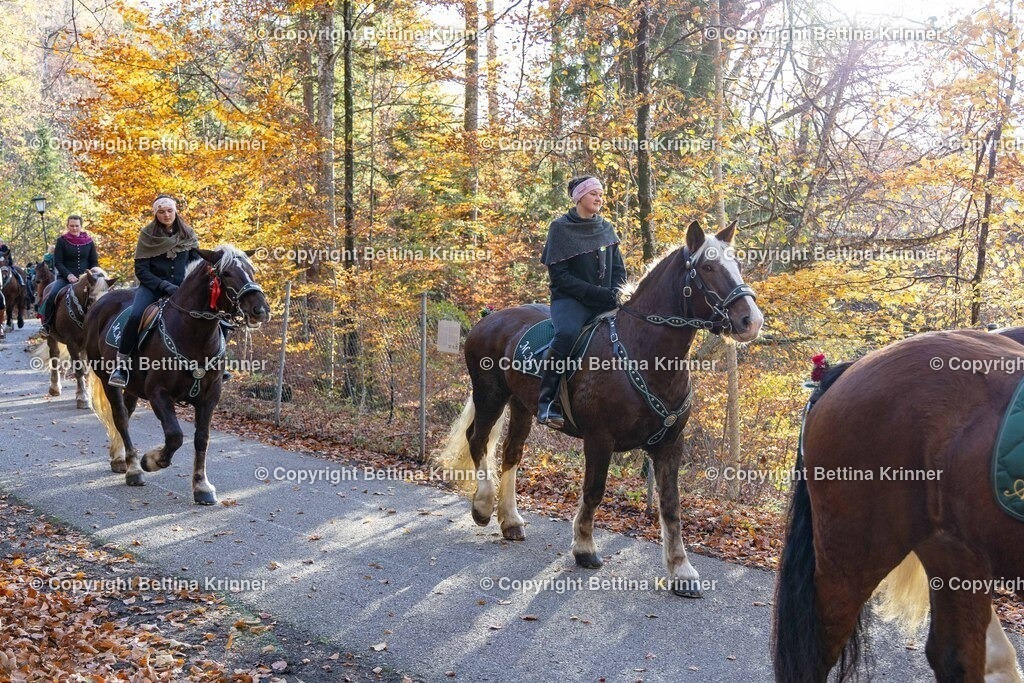 LL24-316 | foto-bettina-krinner - Realisiert mit Pictrs.com