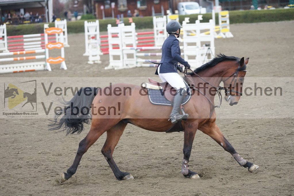 DSC00348 | equestrian-live-com