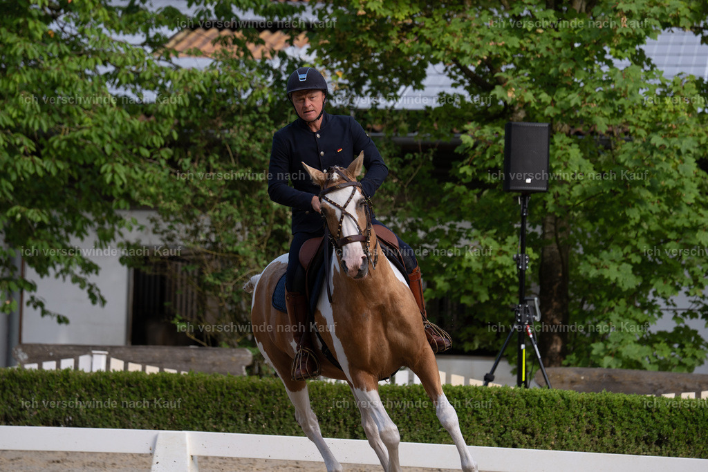 WS_DR_122_sinafilmart_IN00217 | working equitationturnier fotograf videograf stoibphotography marixx film working equitation deutschland reitsport turnierfotografie eventfotografie equestrian events