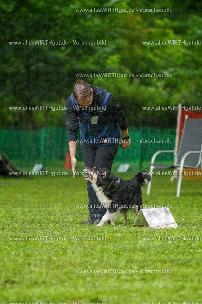 @allesWIRTHgut_Tierfotografie - www.allesWIRTHgut.de - 7R501951 | Professionelle Tierfotografie in Mönchengladbach von Daniel Wirth (allesWIRTHgut). Liebevolle & natürliche Bilder von Hunden & Katzen für unvergessliche Erinnerungen.