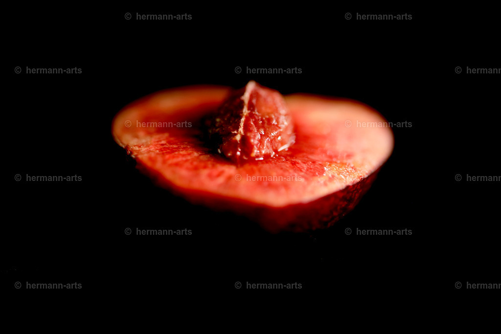 Fruits-Art-057 | Photo Foto Kunst Art schwarzweiss Bilder Rheine Münster Berlin Blumen 