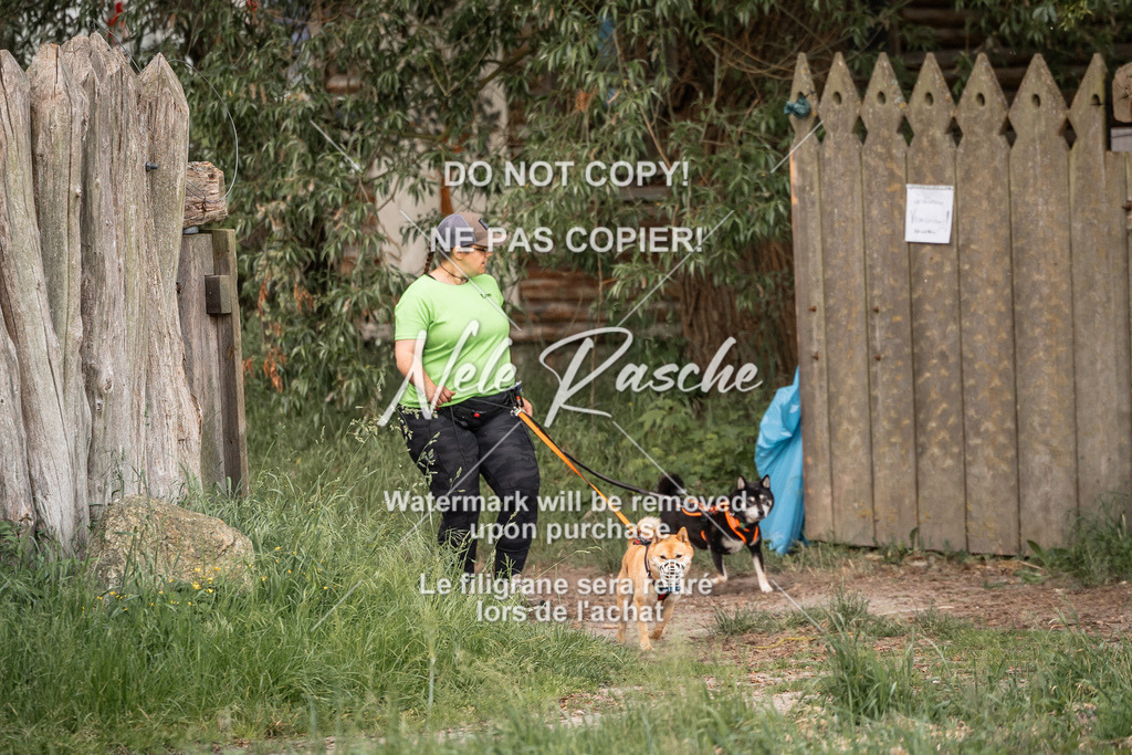 nelerasche_So-funtrail_12 | nelerasche