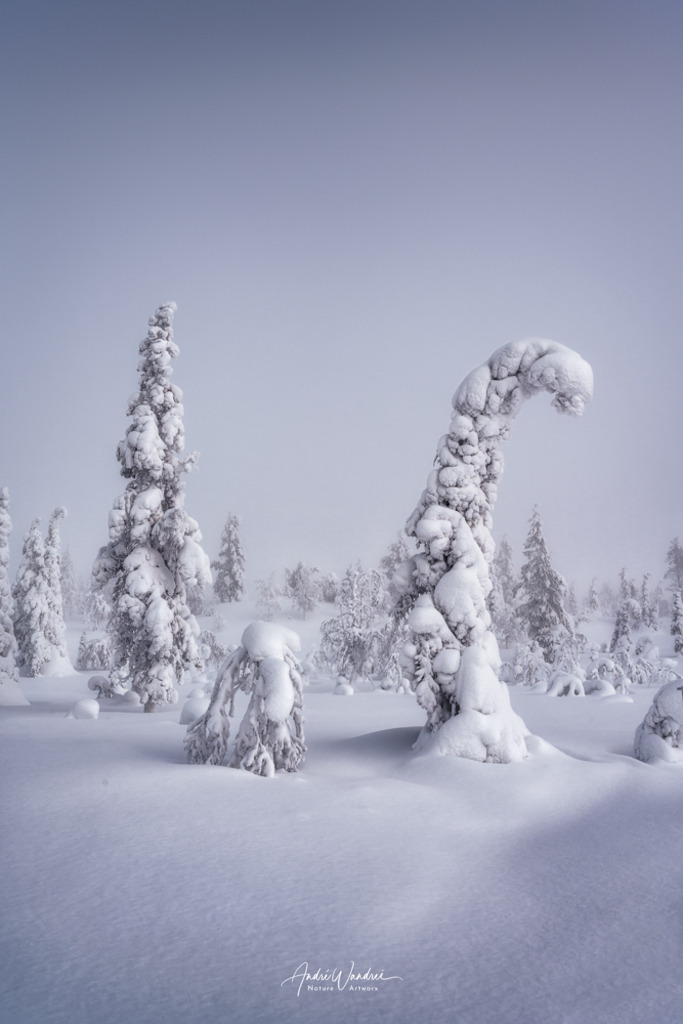 Eisige Tundra | Andre Wandrei - Nature Artworx - Realisiert mit Pictrs.com