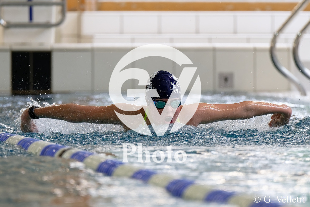 DSC_9787 | Velletri Photo