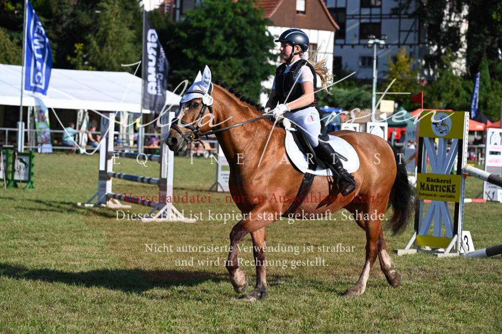 DSC_4976 | Pferde- und Turnierfotografie in Westsachsen. Pferdeportraits, Auftragszeichnungen und intuitive Kunst.