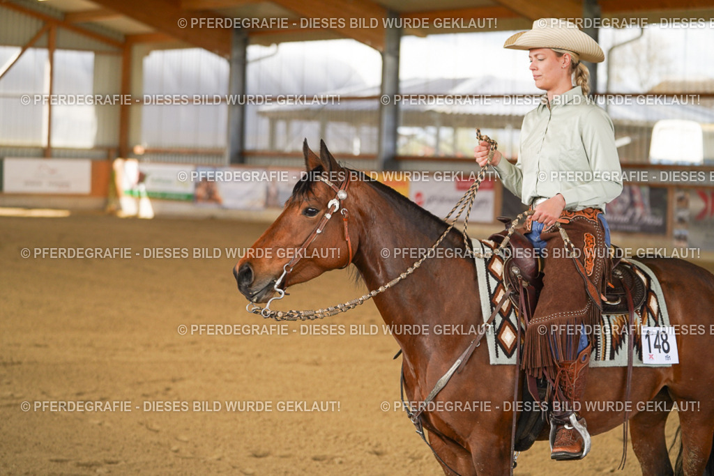 DSC06896 | Pferdegrafie