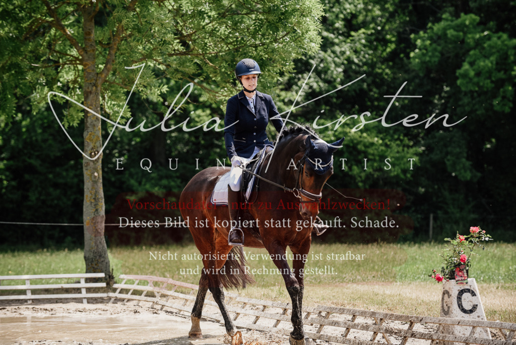DSC_1476 | Pferde- und Turnierfotografie in Westsachsen. Pferdeportraits, Auftragszeichnungen und intuitive Kunst.