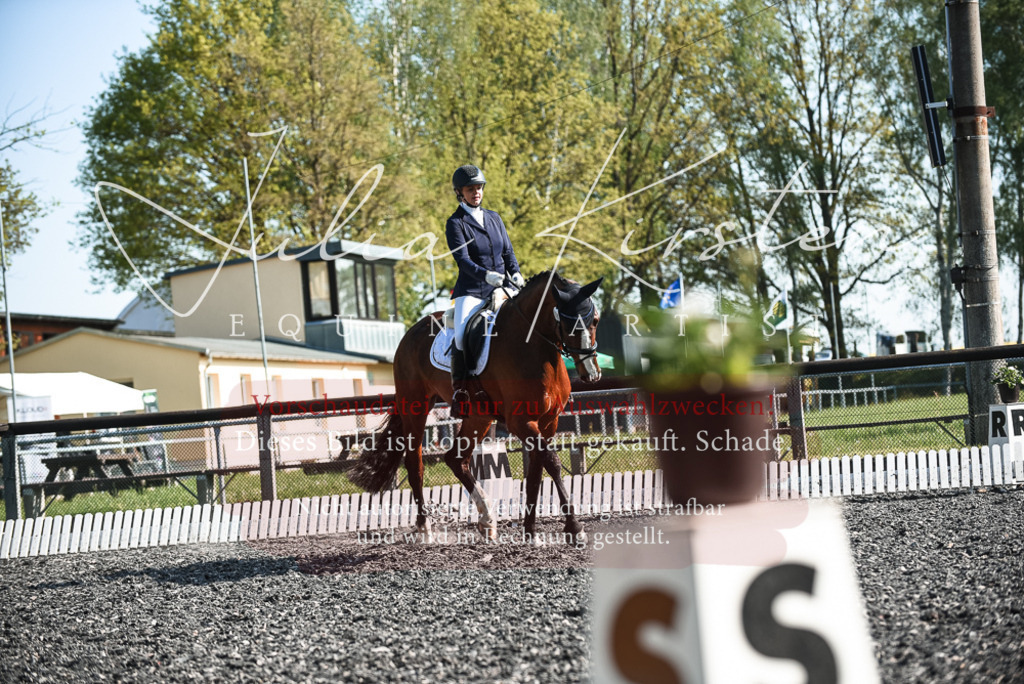 DSC_8529 | Pferde- und Turnierfotografie in Westsachsen. Pferdeportraits, Auftragszeichnungen und intuitive Kunst.