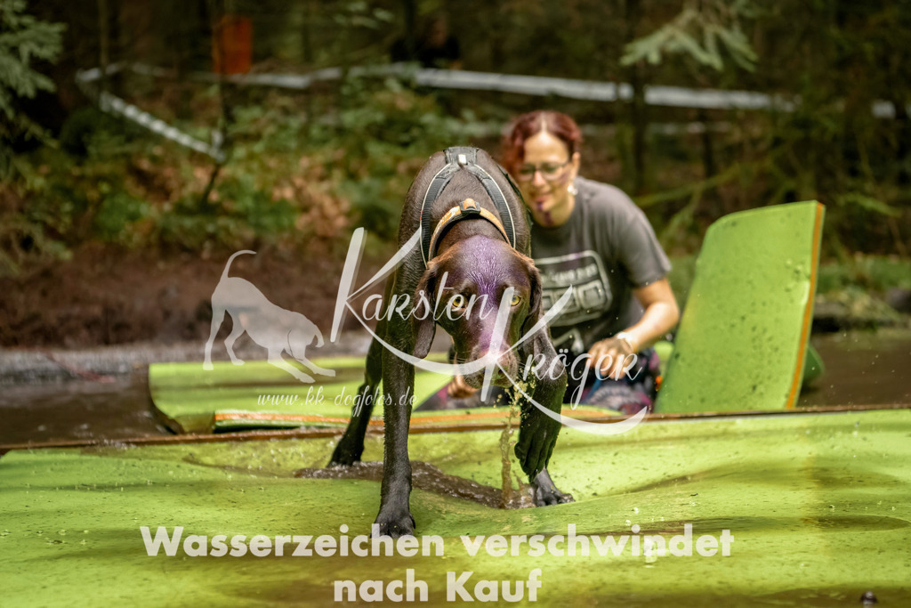 1211_ZZ93051-Bearbeitet | kk-dogfotos