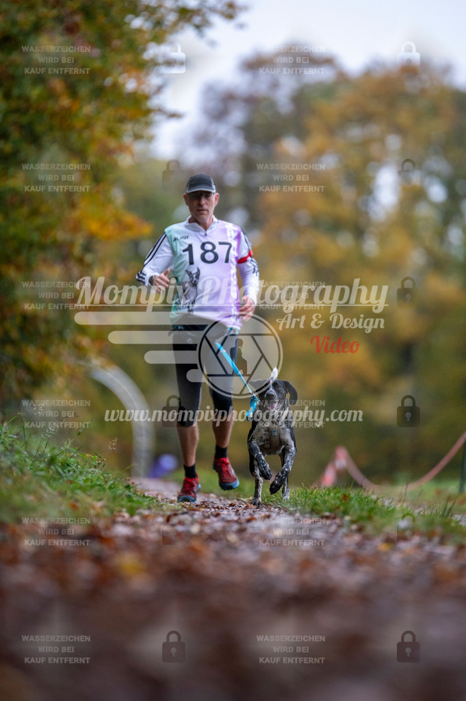 DBT_DAKM_SA_4_11_2023_Canicross-84 | PayLife