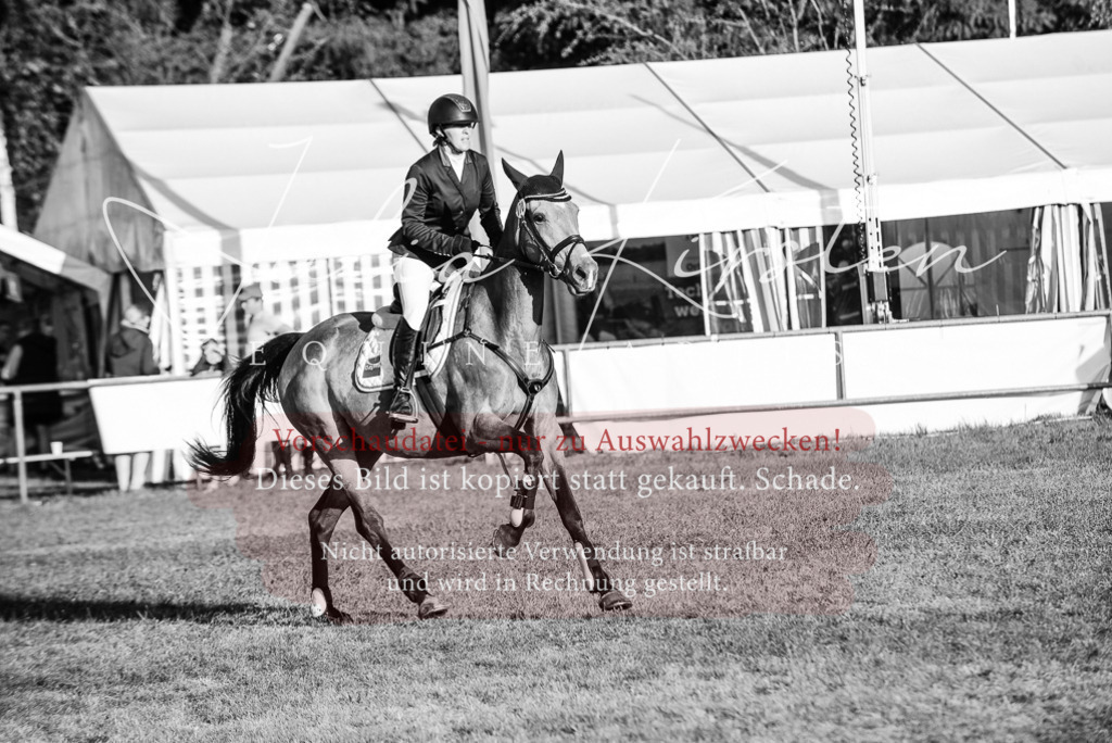 DSC_4828 | Pferde- und Turnierfotografie in Westsachsen. Pferdeportraits, Auftragszeichnungen und intuitive Kunst.