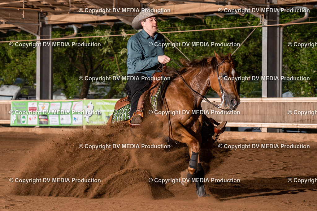 Erbach Tag 3-900 | dv-media-shop - Realisiert mit Pictrs.com