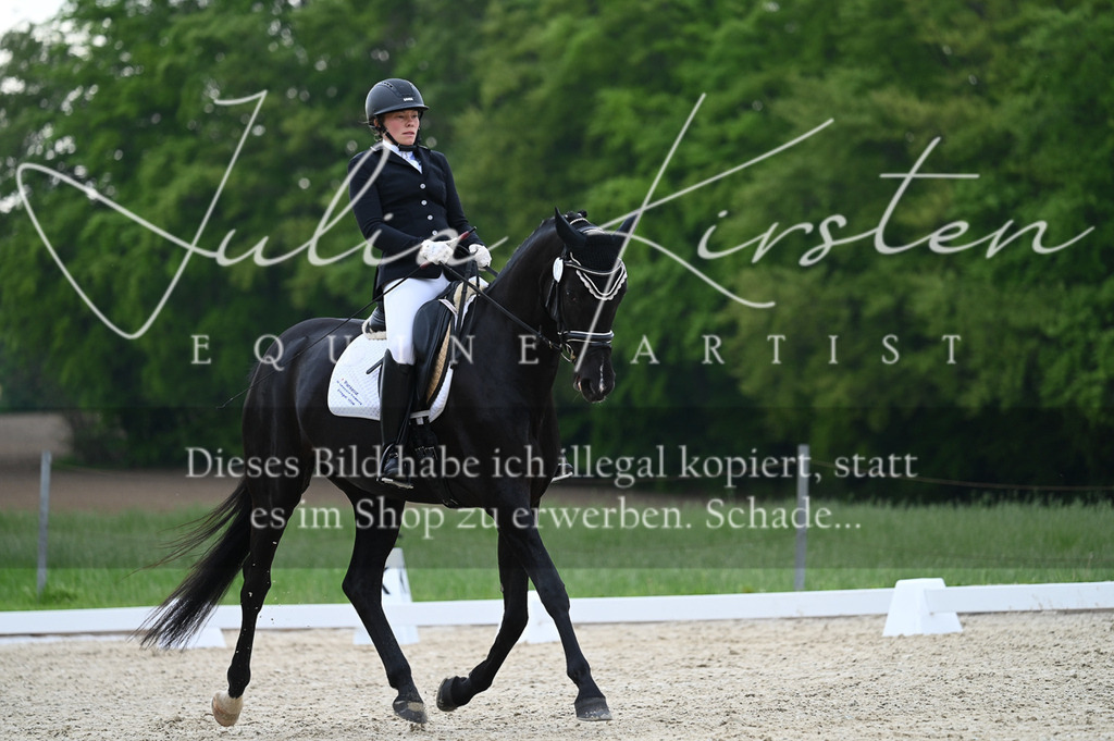 20230512_JK-Röhrsdorf-02-048 | Pferde- und Turnierfotografie in Westsachsen. Pferdeportraits, Auftragszeichnungen und intuitive Kunst.