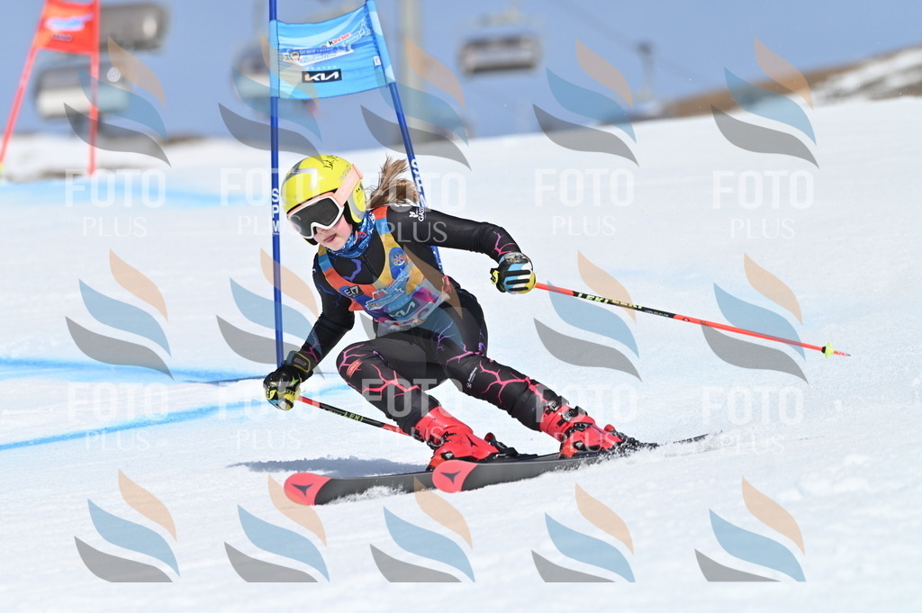 BGV_0085 | holidayphoto