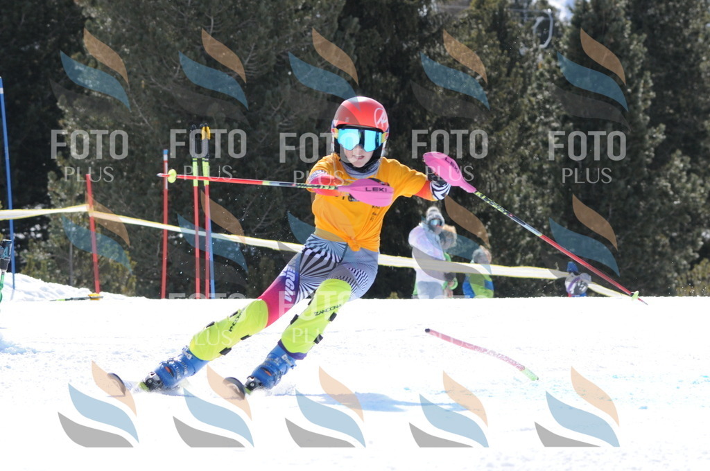 C9208 | holidayphoto