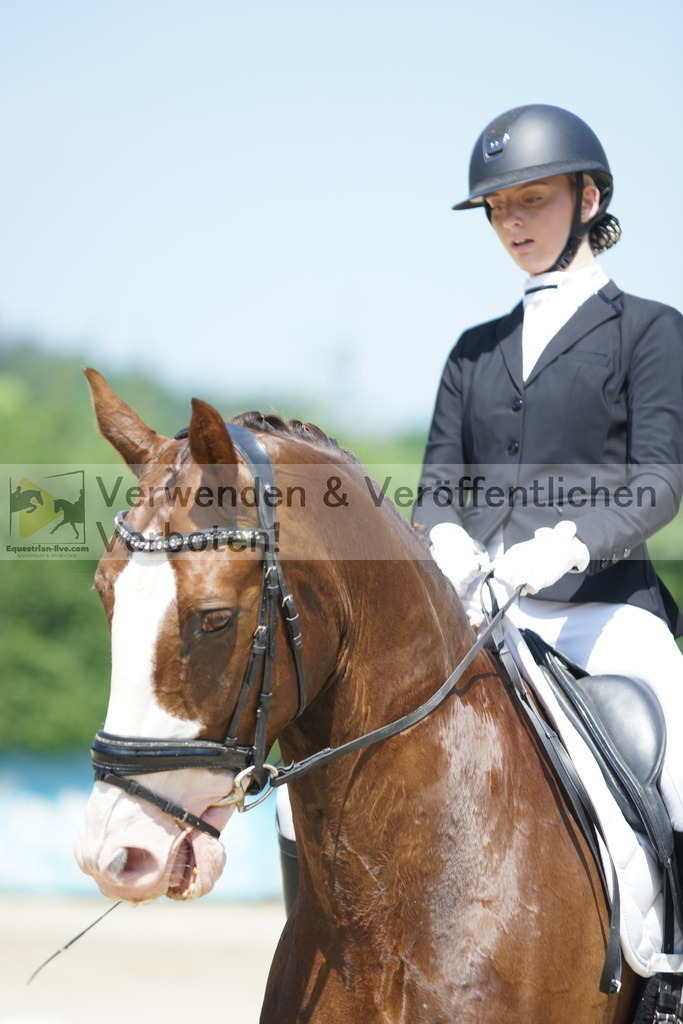 DSC01645 | equestrian-live-com