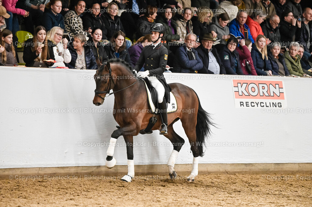20260307_Hengstvorstellung-Marbach_0335 | equistock