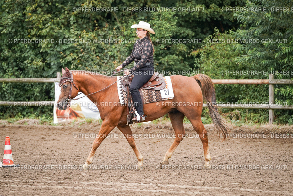 DSC03019 | Pferdegrafie