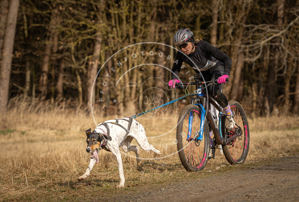 DV3A4238 | Hundefotografie, Tierfotograf, Pfotenfotografie, Fotoshooting Hund, Hunde Portrait, Hundesport, Hundeportraits, Heideshooting, Hunde, Sportfotograf, Hundefotograf, Turnierhundsport, THS,  - Realisiert mit Pictrs.com