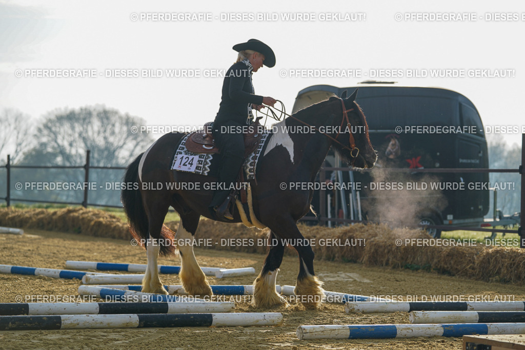 DSC09890 | Pferdegrafie